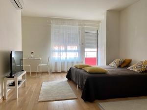 Säng eller sängar i ett rum på Tamiš Kapija Apartment