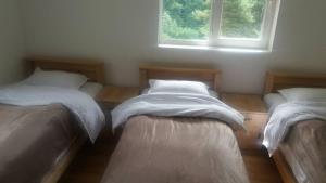 three beds sitting in a room with a window at Guesthouse Gama in Khevsureti in Korsha