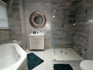 Roxy's Rest Guest House的一间浴室