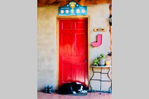 a black and white dog laying in front of a red door at BEAUTIFUL RETREAT - 20 mins to CBD and only 10 mins to MONA! in Collinsvale