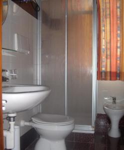 La salle de bains est pourvue d'un lavabo, de toilettes et d'une douche. dans l'établissement Residenze Sonnenschein Casa Bianca, à Villabassa