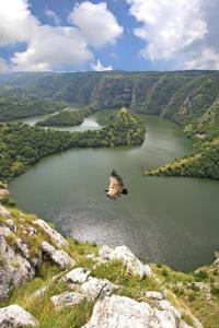 Táj a vendégház közelében