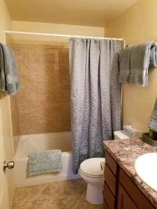 a bathroom with a shower curtain and a toilet at Tucson Airport Oasis in Tucson