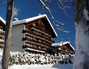 um edifício na neve com arbustos cobertos de neve em Hotel Residence em Grindelwald