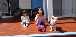 Domácí mazlíčci ubytovaní s hosty v ubytování Yakushima Pension Luana House
