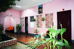 uma casa cor-de-rosa com plantas à frente. em Hotel Fuentes em Guatemala