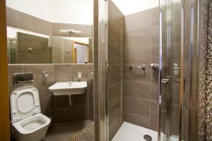 La salle de bains est pourvue de toilettes, d'un lavabo et d'une douche. dans l'établissement Hotel & SPA Odeon, à Boguchwała