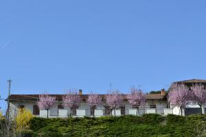 a building with pink flowering trees in front of it at La Locanda di Valbella in Asti