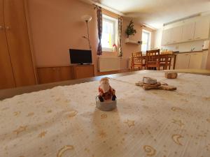 TV a/nebo společenská místnost v ubytování Ubytování U Šustrů