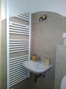 Kylpyhuone majoituspaikassa Apartma pr´ Štengarju