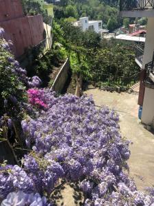 Giardino di Sanni Guest House
