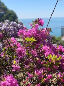 Paesaggio naturale nelle vicinanze dell'affittacamere
