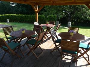 Zahrada ubytování BLUE PENSiON