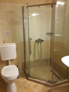 a bathroom with a shower with a toilet and a sink at Vila Casa Esy in Eforie Nord +74 photos