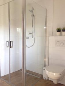 a bathroom with a shower and a toilet at Fewo Vulkaneifel in Tettscheid