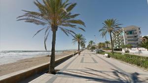 een palmboom op een stoep naast het strand bij Segur Beach in Segur de Calafell