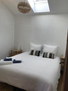 a bedroom with a large white bed with a skylight at Le gîte des moineaux in Argeliers +18 photos
