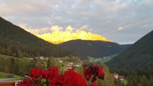 a view of a mountain with red flowers in the foreground at Kellnerhof in Nova Levante
