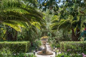 un jardín con una fuente y palmeras en Hotel Rural Biniarroca - Adults Only, en Sant Lluis