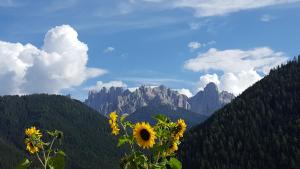 a field of sunflowers with mountains in the background at Kellnerhof in Nova Levante