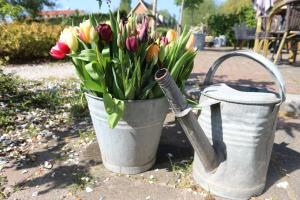 a vase filled with lots of flowers next to a fire hydrant at B&B - Pension Het Oude Dorp in Katwijk