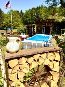 สระว่ายน้ำที่อยู่ใกล้ ๆ หรือใน FRANKES LODGE Apartment mit Garten und Pool, 6 Einzelbetten