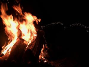 un feu brûle dans l'obscurité avec des arbres en arrière-plan dans l'établissement Agriturismo Alle Baite, à Branzi