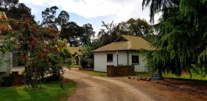 una casa en un camino de tierra junto a un árbol con flores rojas en Olinda Yarra Cottage, en Yering