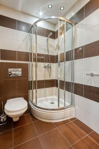 a bathroom with a shower and a toilet at Apartamenty Piła in Piła