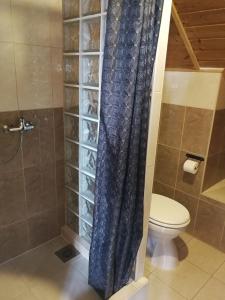 a bathroom with a toilet and a shower curtain at Manoka Guest House in Mogyoród