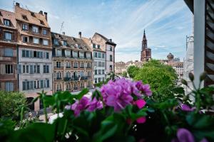 a view of a city with buildings and purple flowers at Hotel Beaucour in Strasbourg