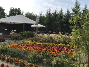 um jardim de flores com uma tenda ao fundo em Maestro Inn em Krasnystaw