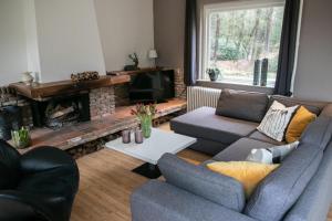 ein Wohnzimmer mit 2 Sofas und einem Kamin in der Unterkunft Vakantiehuis de Weeser Enk in Epe