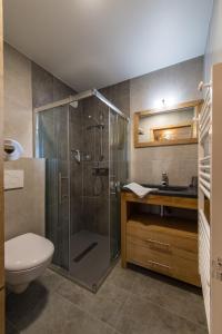 a bathroom with a shower and a toilet and a sink at ODYSSEE B101 - Appartement traversant sur les pistes in La Toussuire