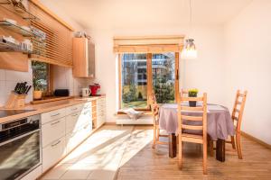 Kuchyň nebo kuchyňský kout v ubytování Vila TILA