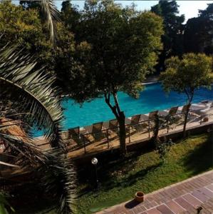 Elle offre une vue sur une piscine avec des chaises et un arbre. dans l'établissement Iris Hotel, à Çanakkale