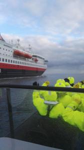 um navio de cruzeiro no oceano com um navio de cruzeiro em LofotenApartmentOne em Stamsund