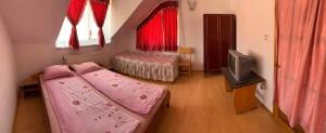 a bedroom with a pink bed and a tv at Casa Debora in Haţeg