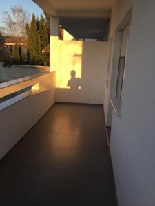 Foto dalla galleria di Viktor a Sremska Mitrovica