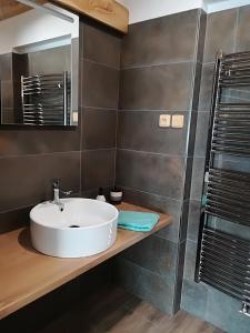 W łazience znajduje się umywalka i prysznic. w obiekcie Apartmány Dana w mieście Horní Branná
