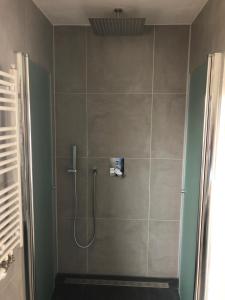 baño con ducha y puerta de cristal en Alte Schlosserei Leistadt, en Bad Dürkheim