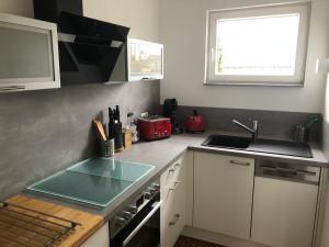 a kitchen with a sink and a stove top oven at Alte Schlosserei Leistadt in Bad Dürkheim +16 photos