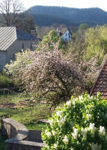 un árbol florido con flores blancas en un patio en Le Clos Marie en Brénod