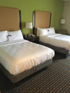 Comfort Inn & Suites tesisinde bir odada yatak veya yataklar