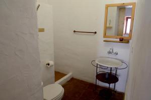 y baño con aseo, lavabo y espejo. en Casa Do Alto Da Eira, en Albergaria dos Fusos