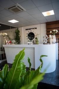 a green plant in front of a reception desk at Acktion Deluxe in Shumen