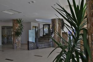 un vestíbulo con una escalera y una planta en Royal Residence, en Čačak