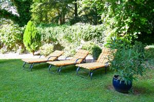 four chairs and a potted plant in a yard at Parkhotel Hammerberg in Stolberg