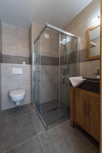 土绪尔ODYSSEE ARC02 Appartement sur les pistes avec vue panoramique的带玻璃淋浴和卫生间的浴室 更多7张照片