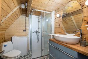 a bathroom with a toilet and a sink and a shower at Domek Rożnów 2 in Rożnów